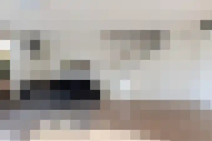 Dingshoflaan 18 Zwolle thumbnail 11
