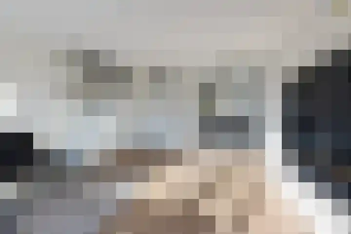 Dingshoflaan 18 Zwolle thumbnail 12