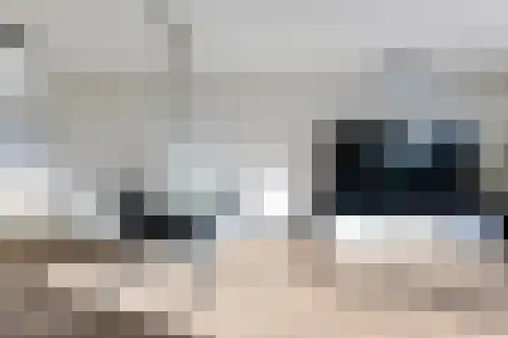 Dingshoflaan 18 Zwolle thumbnail 13