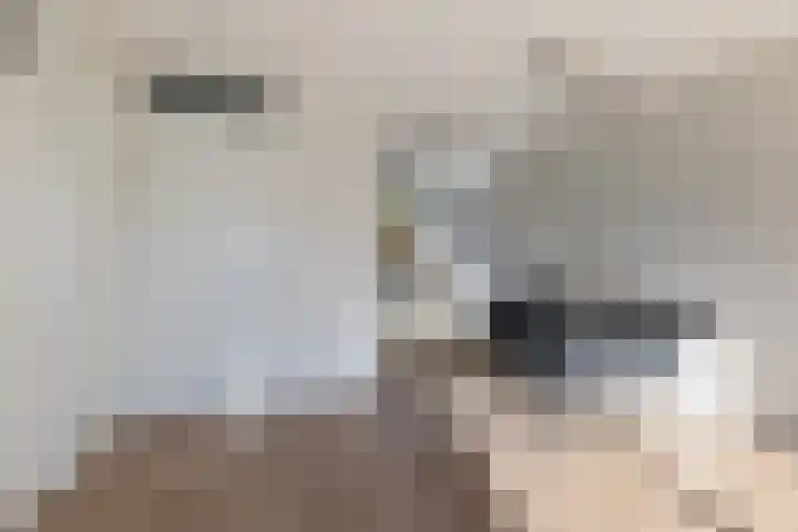 Dingshoflaan 18 Zwolle thumbnail 14