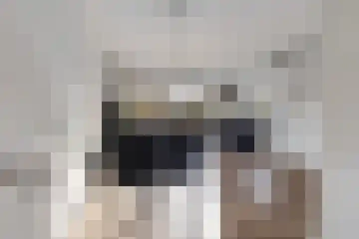 Dingshoflaan 18 Zwolle thumbnail 15