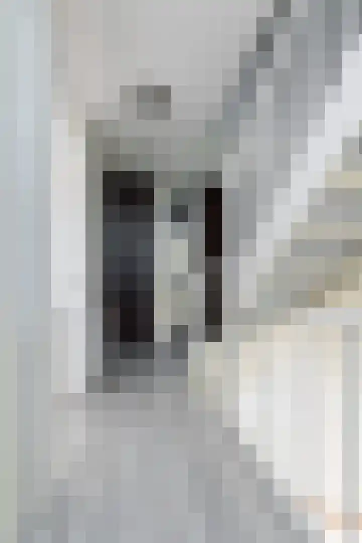 Dingshoflaan 18 Zwolle thumbnail 19