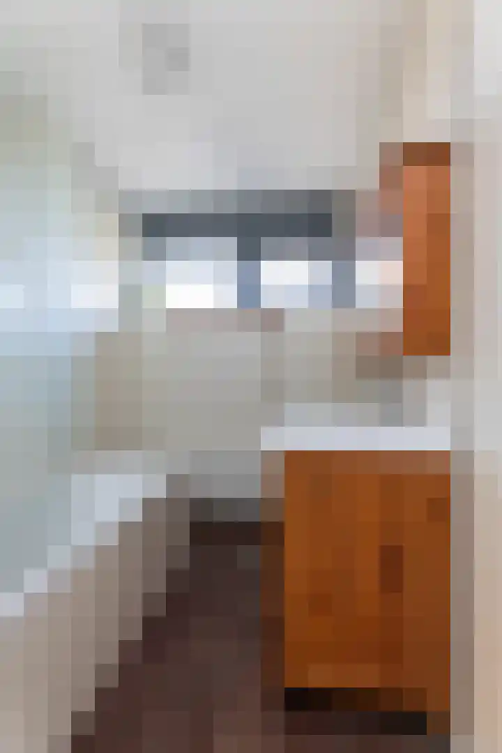 Dingshoflaan 18 Zwolle thumbnail 22