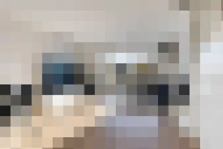 Dingshoflaan 18 Zwolle thumbnail 4