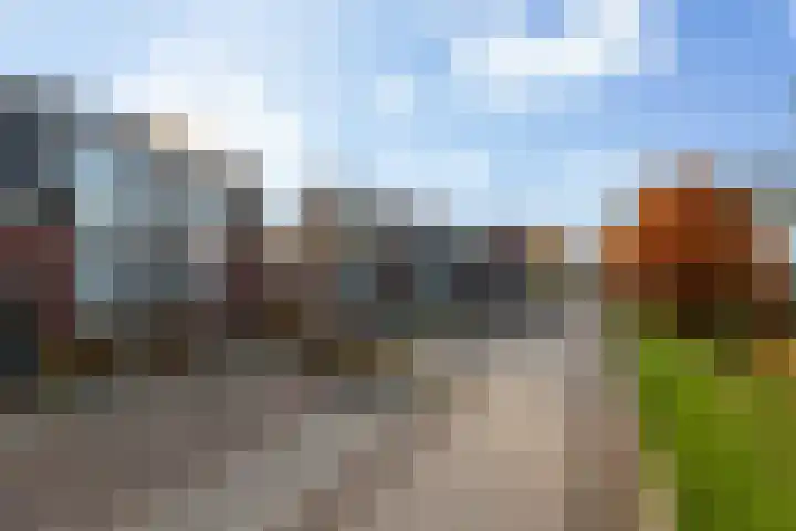 Dingshoflaan 18 Zwolle thumbnail 6