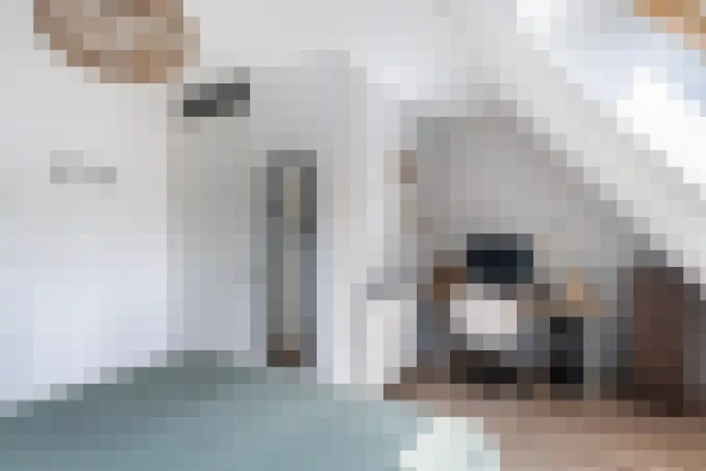Dingshoflaan 20 Zwolle thumbnail 18