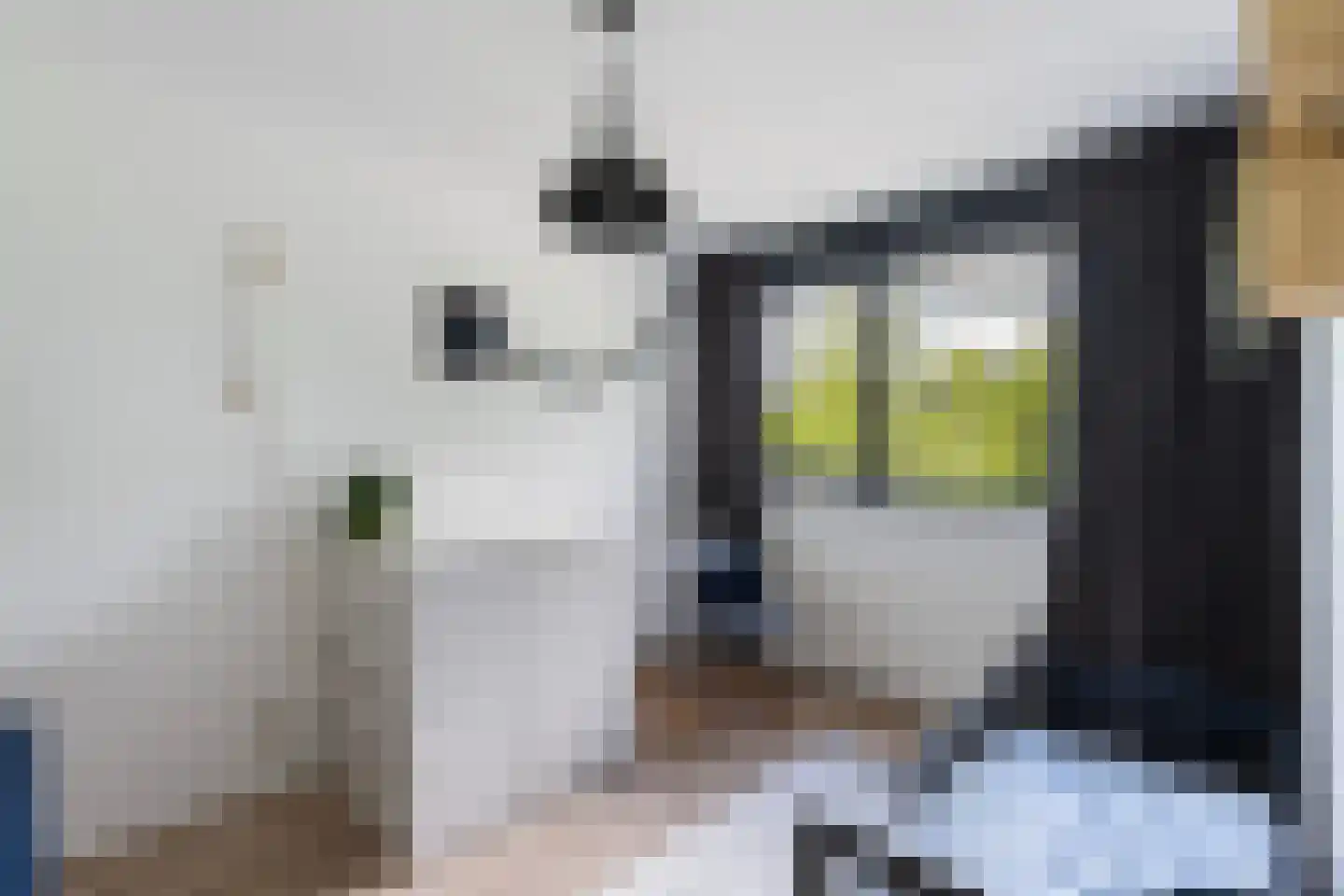 Dingshoflaan 20 Zwolle thumbnail 19