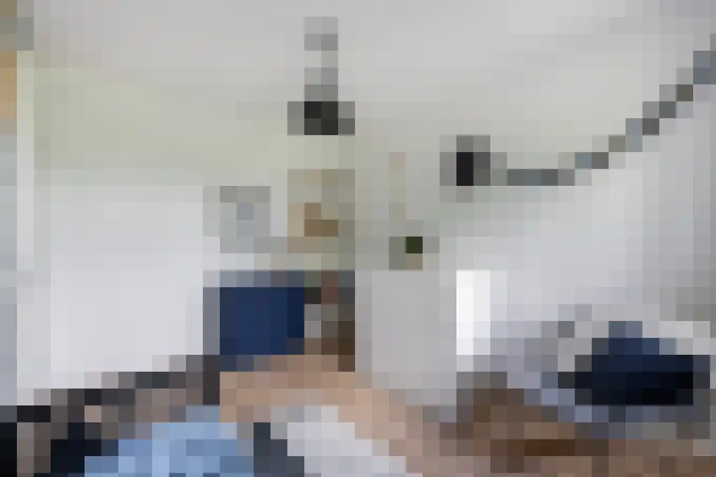 Dingshoflaan 20 Zwolle thumbnail 20