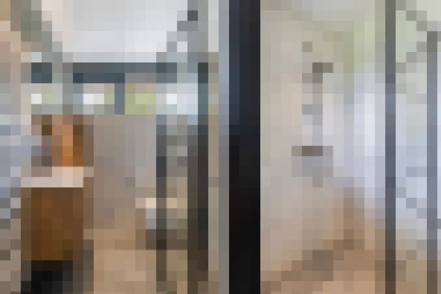 Dingshoflaan 20 Zwolle thumbnail 21