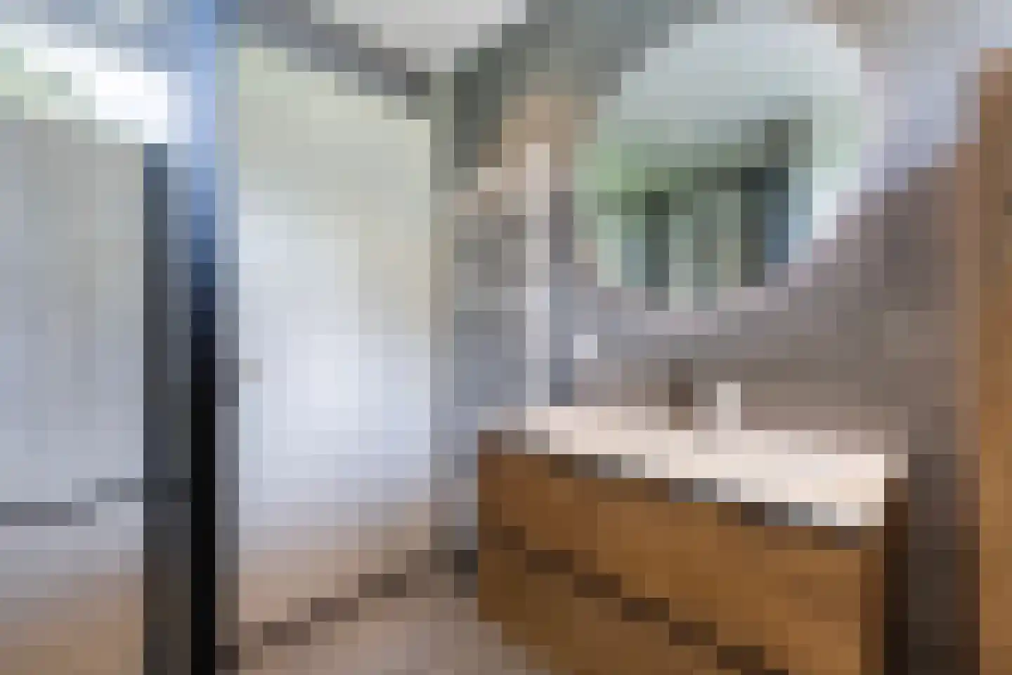 Dingshoflaan 20 Zwolle thumbnail 22