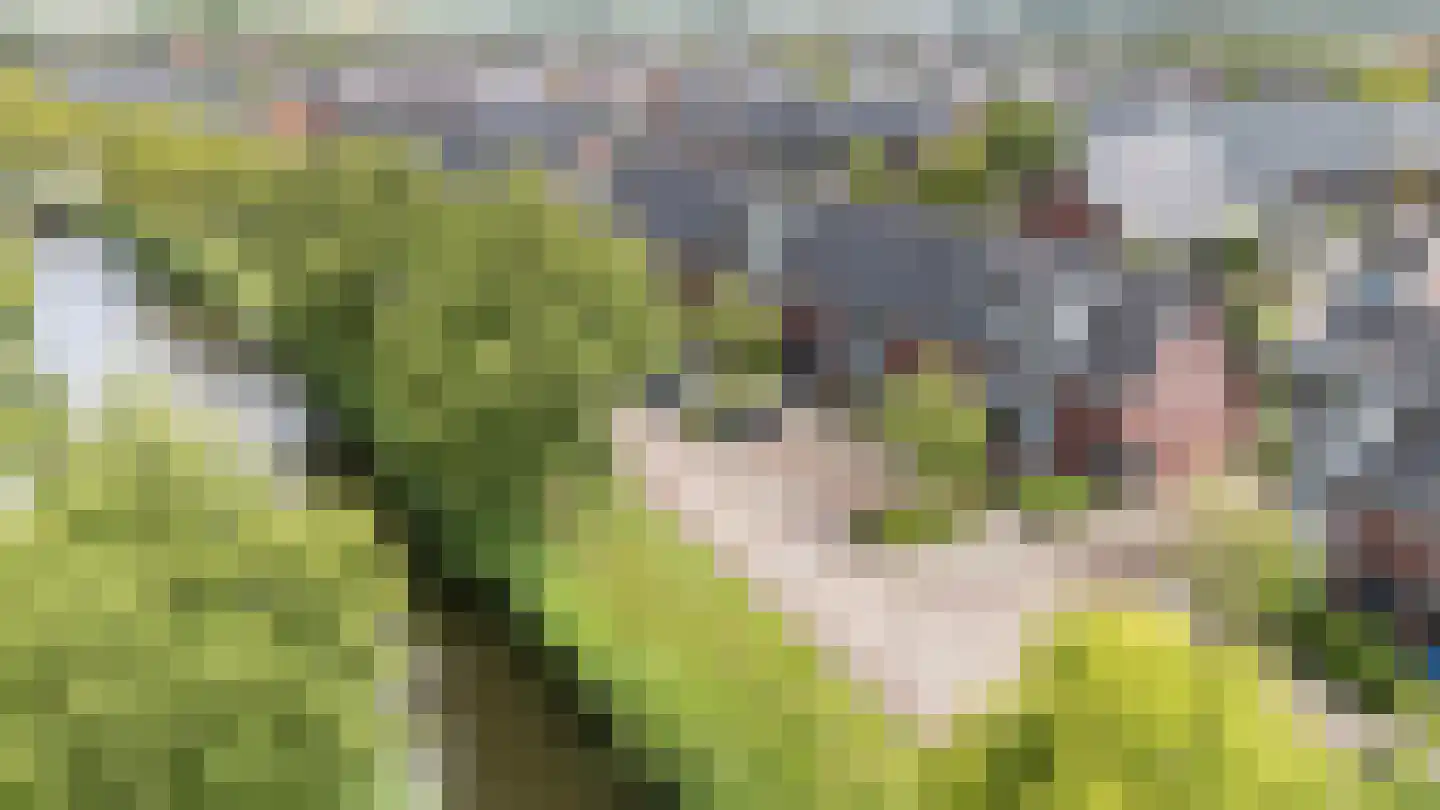 Dingshoflaan 20 Zwolle thumbnail 29
