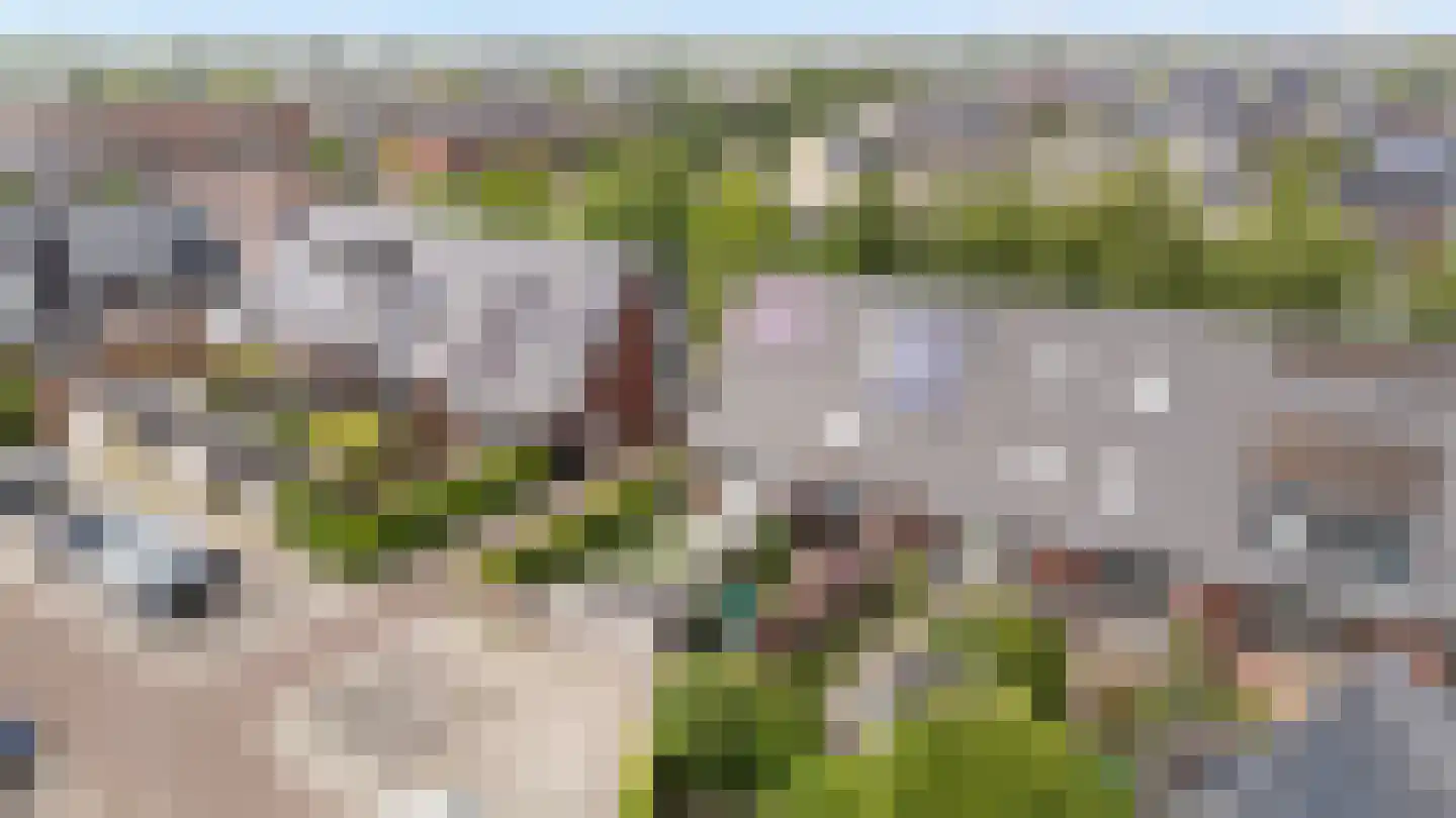 Dingshoflaan 20 Zwolle thumbnail 31
