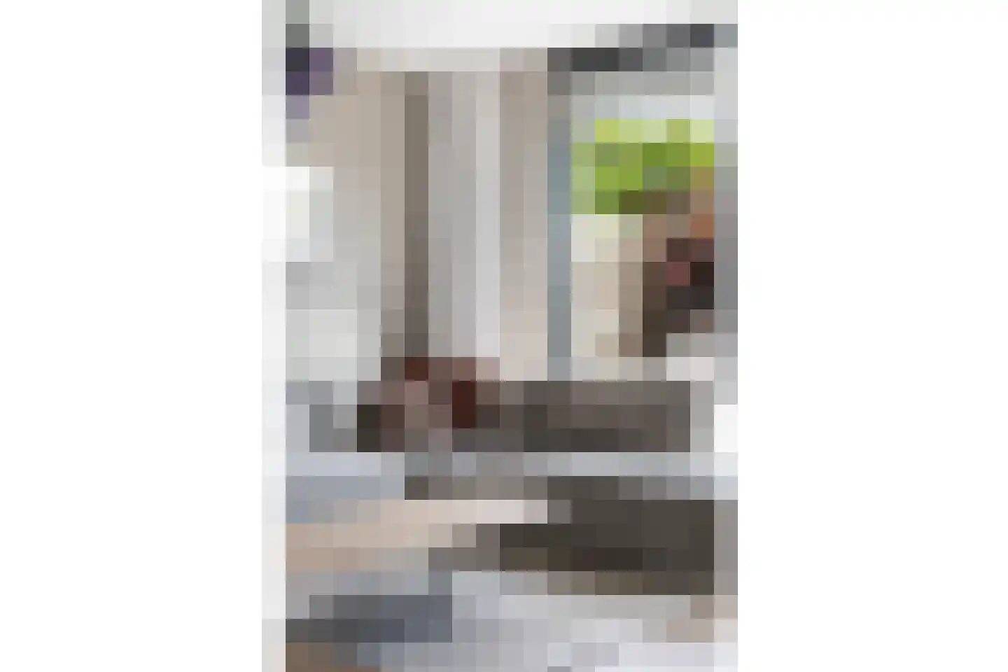 Dingshoflaan 20 Zwolle thumbnail 4