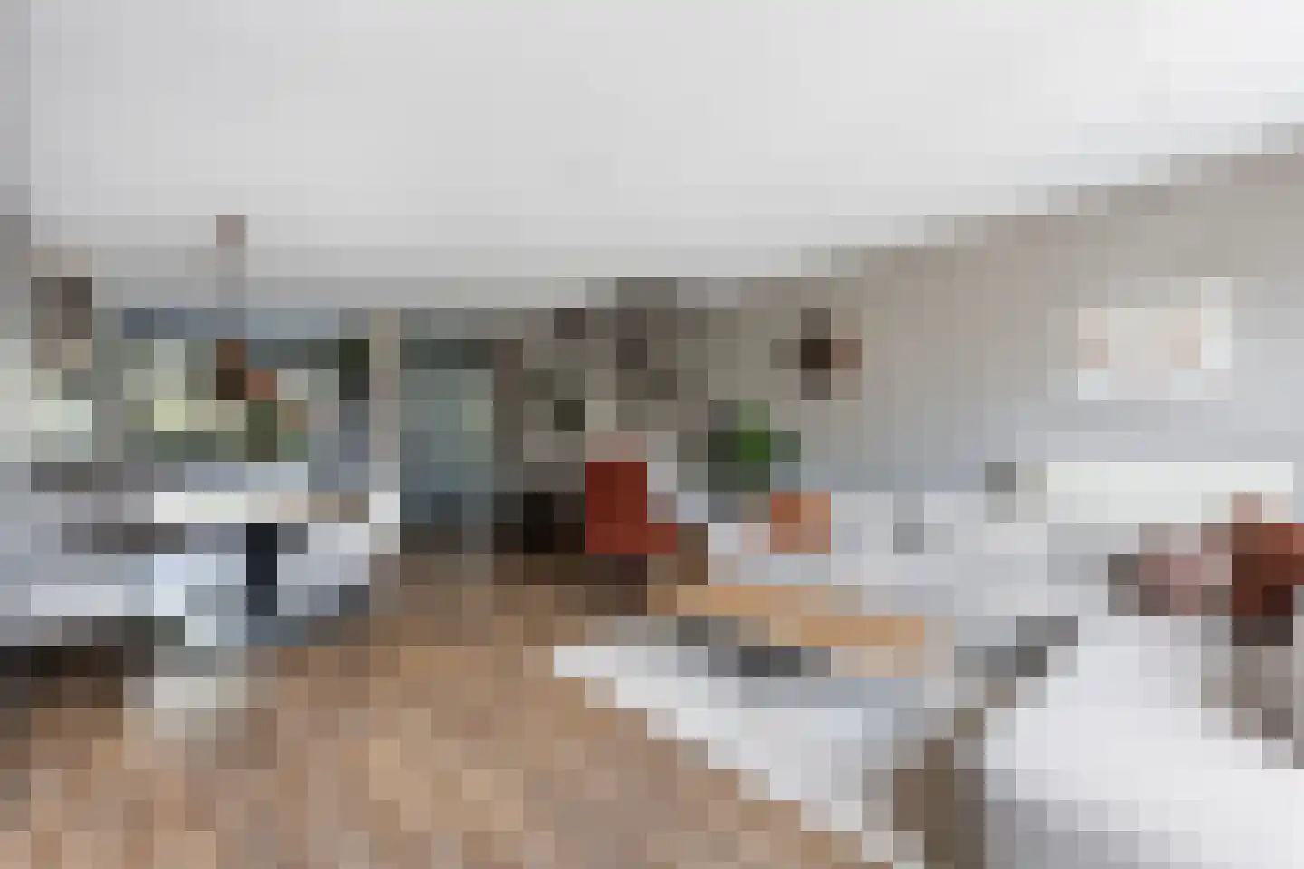 Dingshoflaan 20 Zwolle thumbnail 5