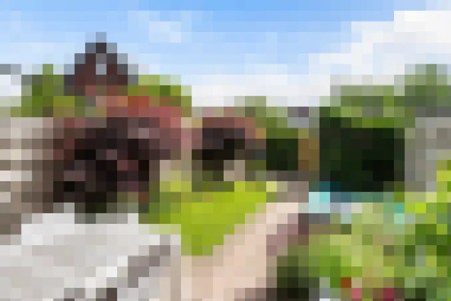 Dingshoflaan 20 Zwolle thumbnail 6