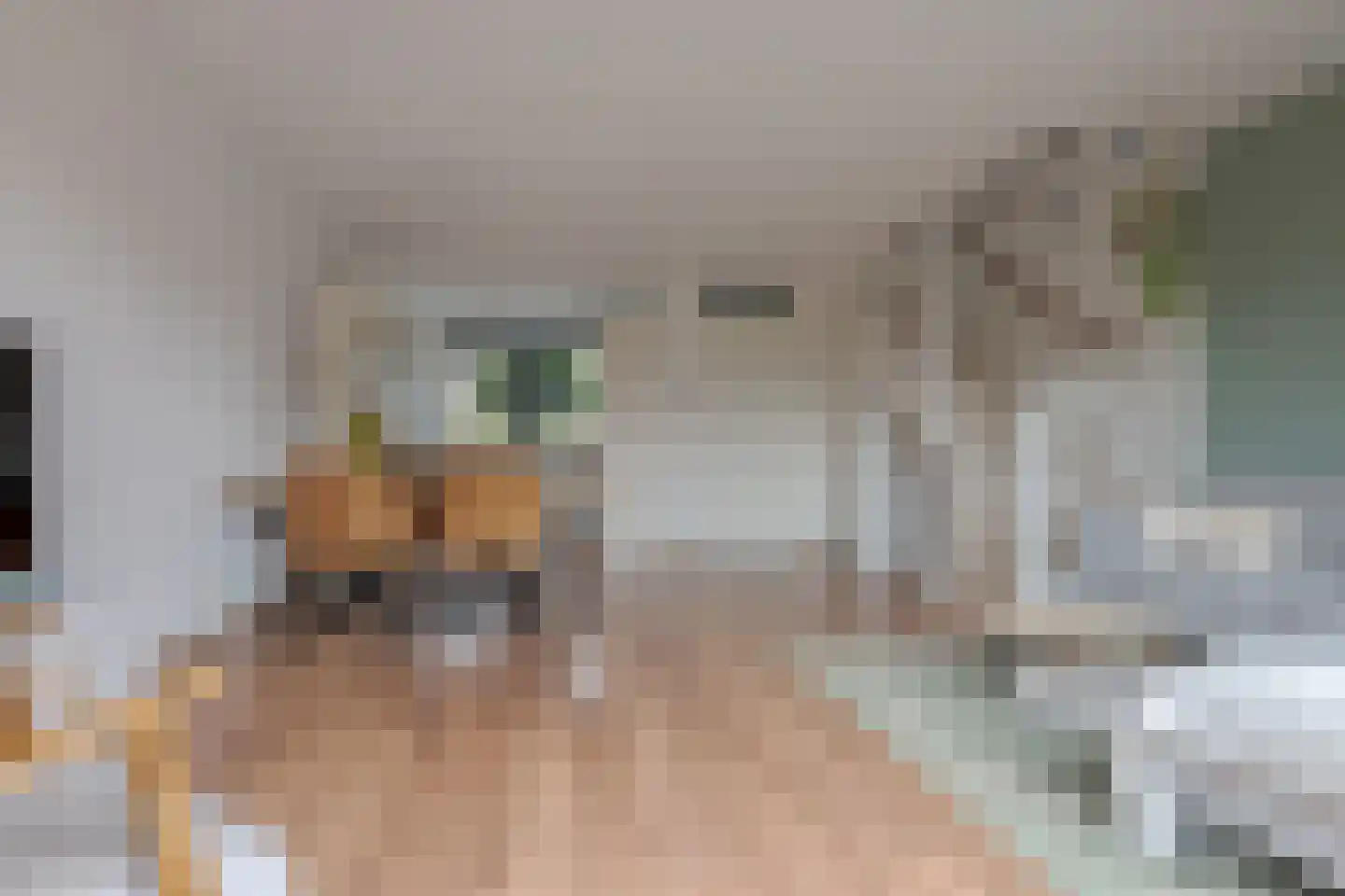 Dingshoflaan 40 Zwolle thumbnail 13