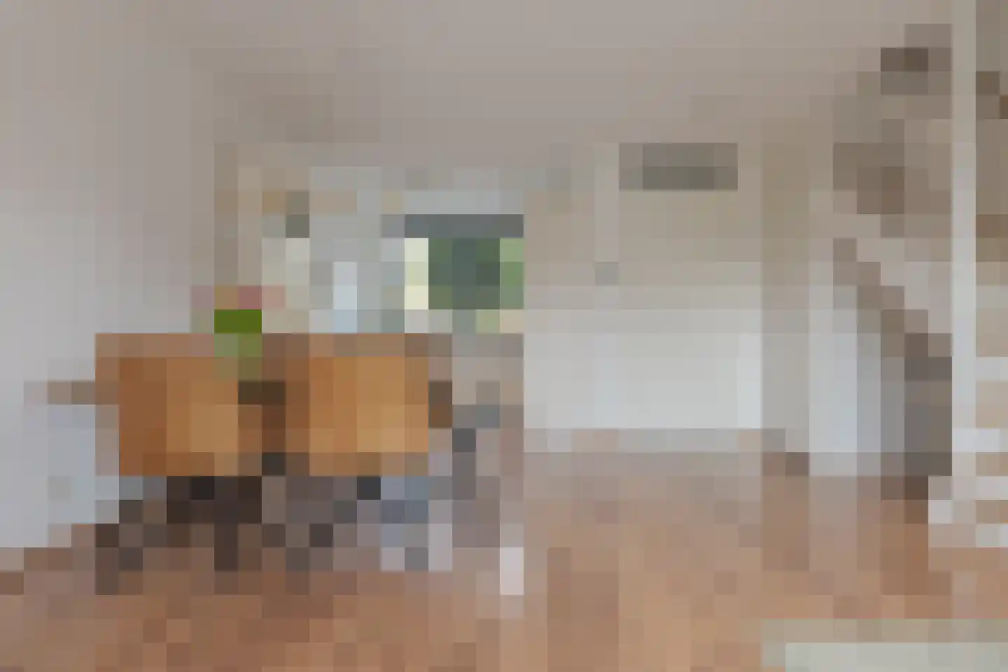 Dingshoflaan 40 Zwolle thumbnail 14