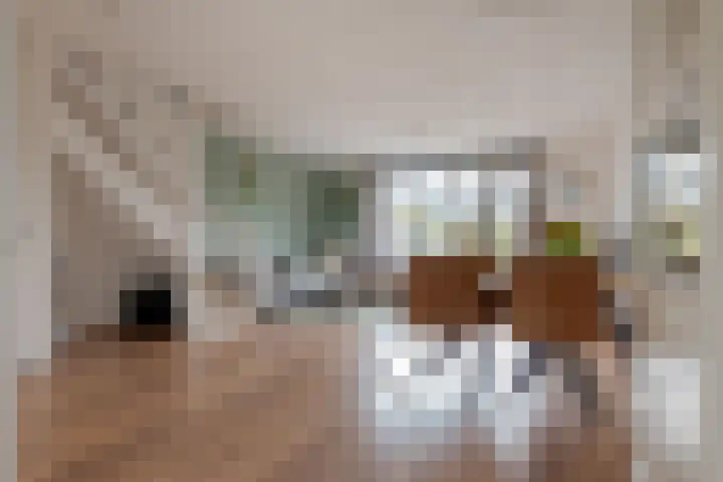 Dingshoflaan 40 Zwolle thumbnail 17