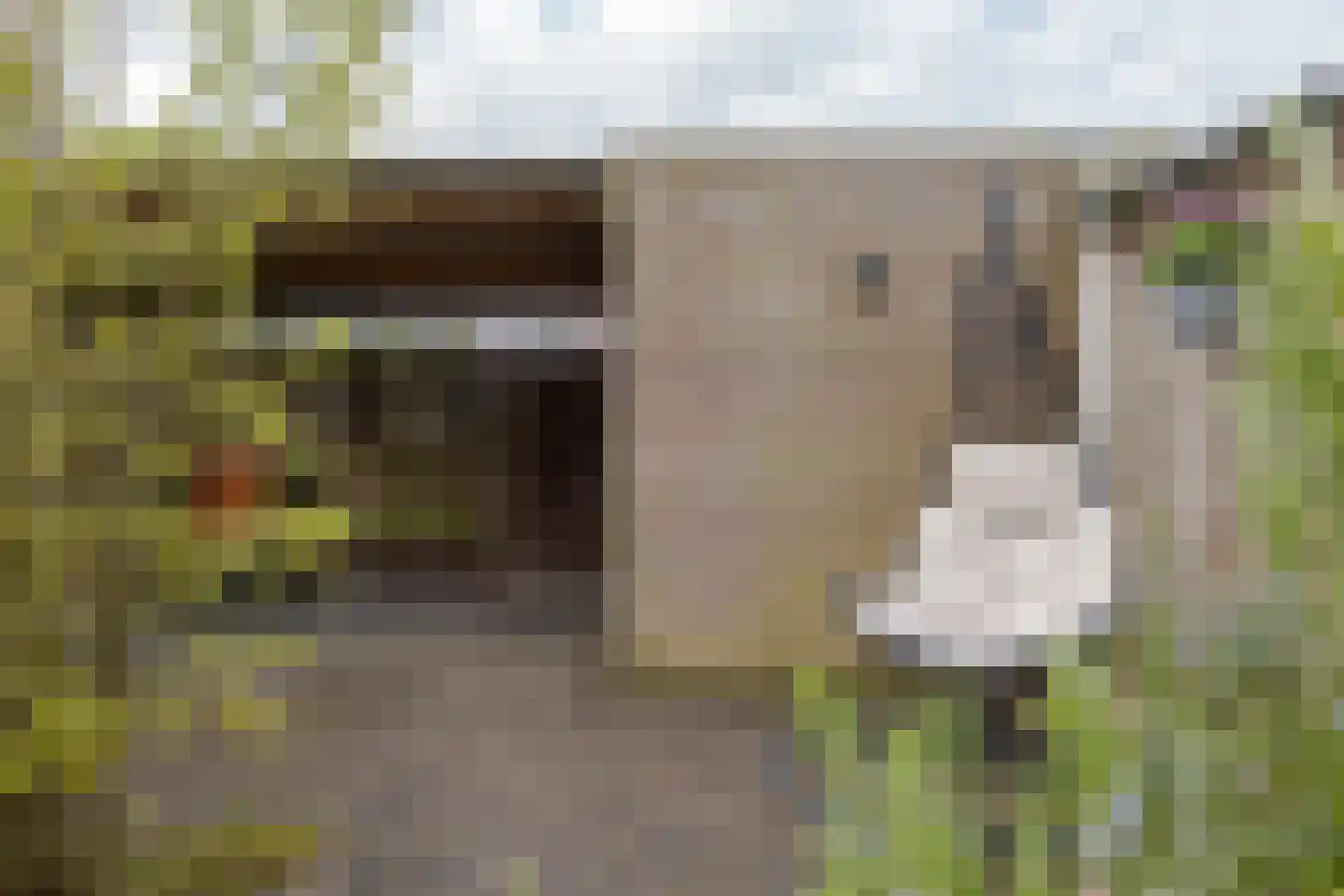 Dingshoflaan 40 Zwolle thumbnail 22