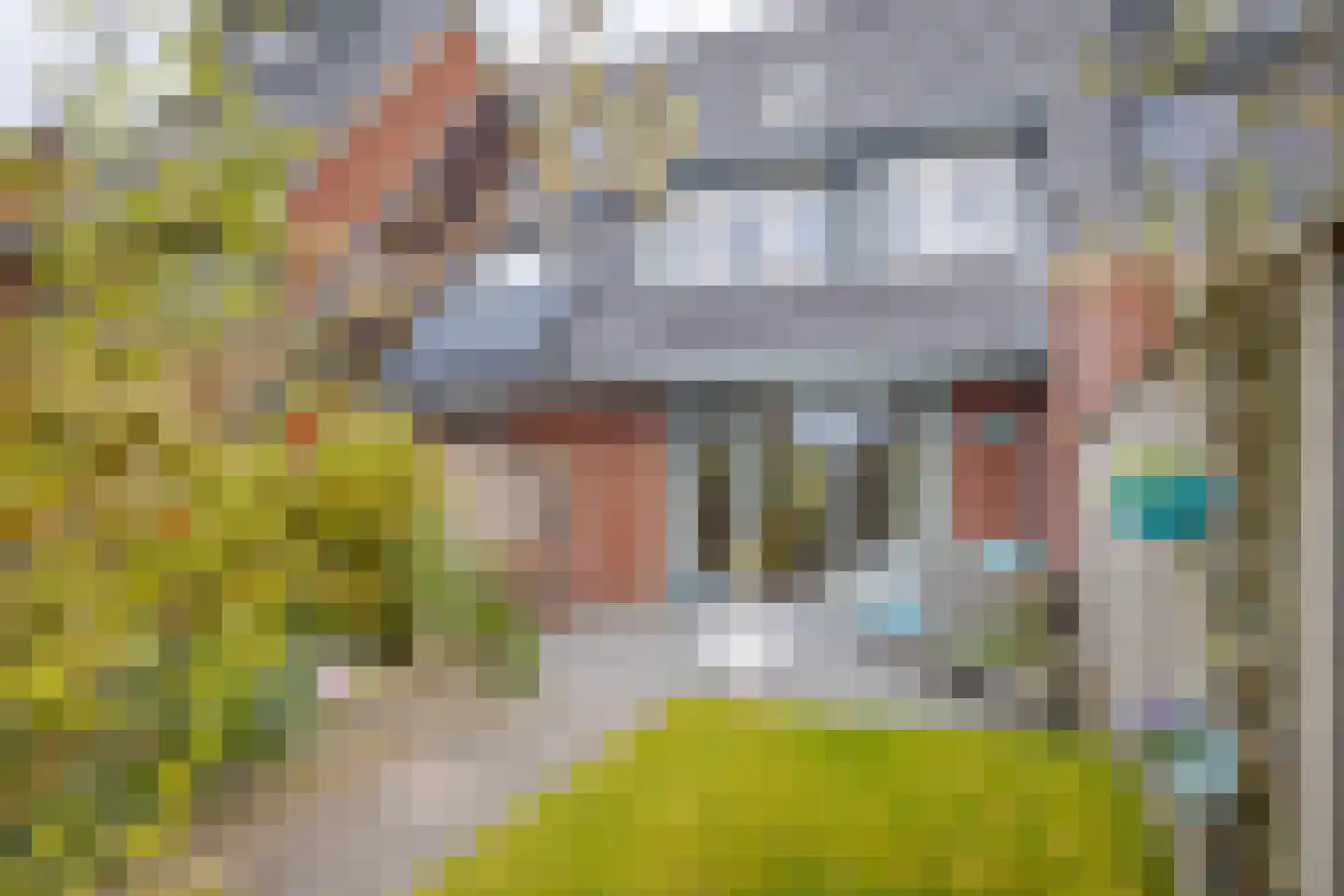 Dingshoflaan 40 Zwolle thumbnail 24