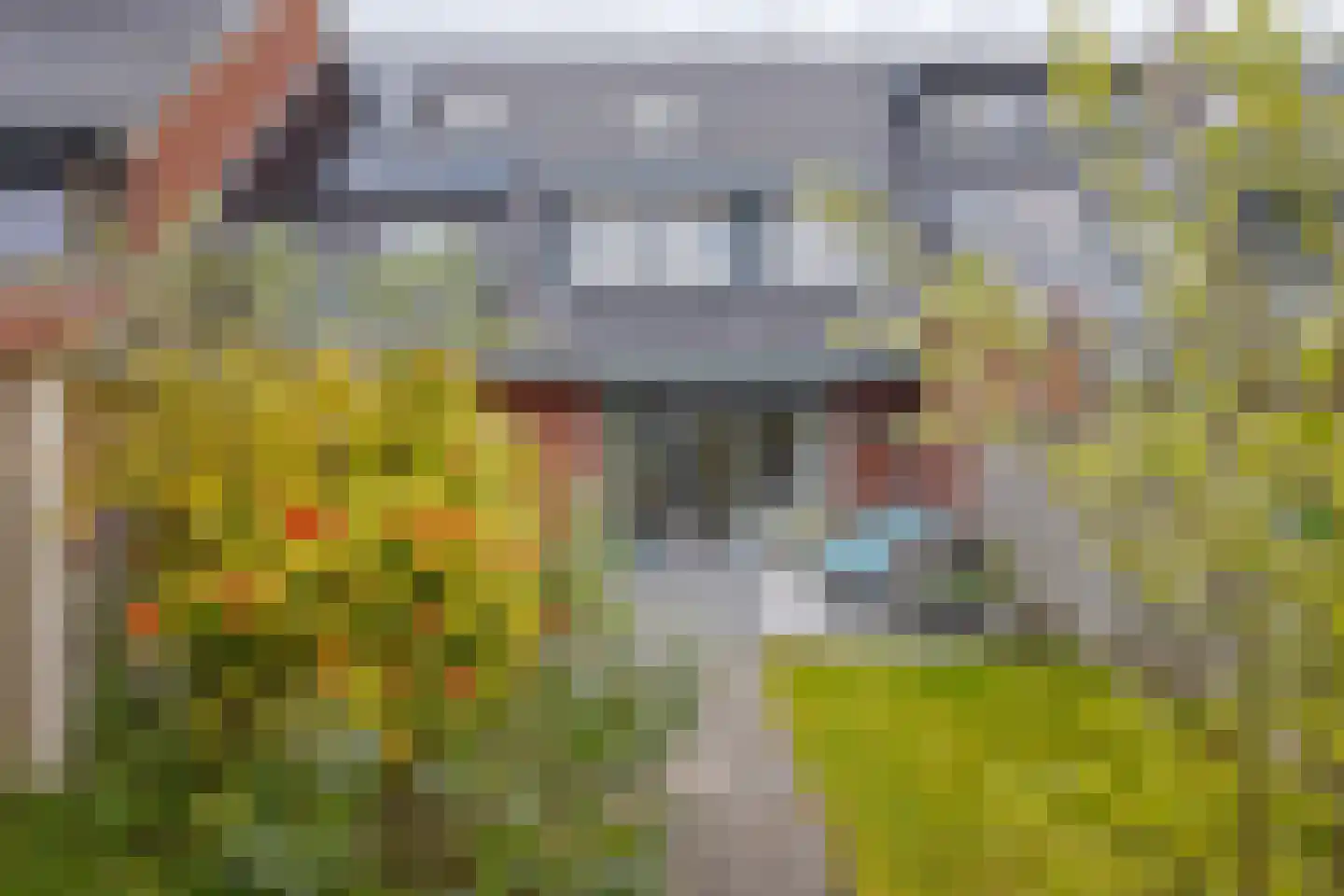 Dingshoflaan 40 Zwolle thumbnail 25