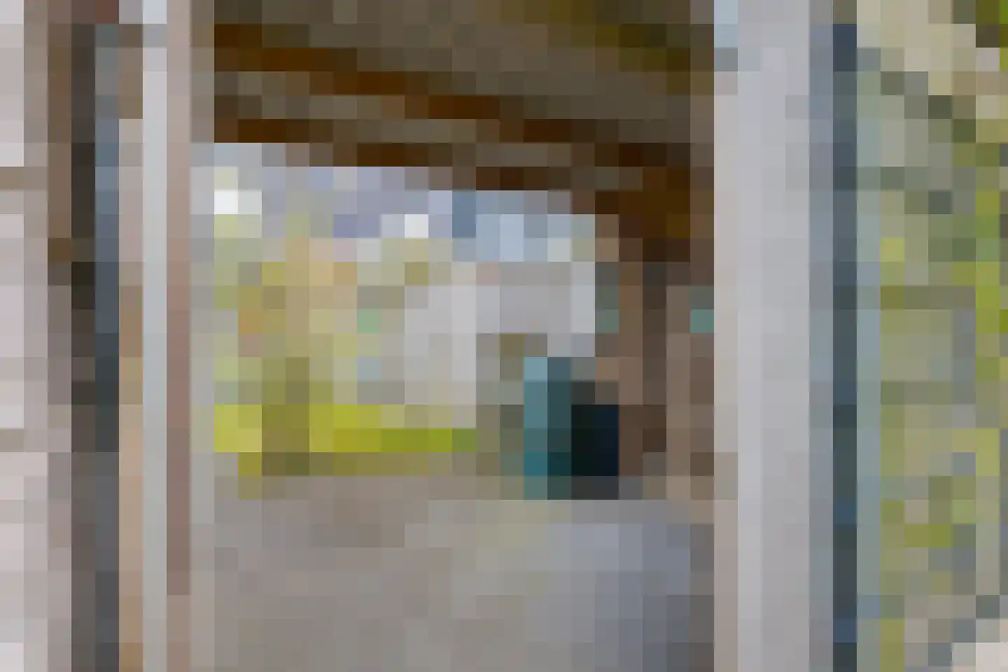 Dingshoflaan 40 Zwolle thumbnail 46