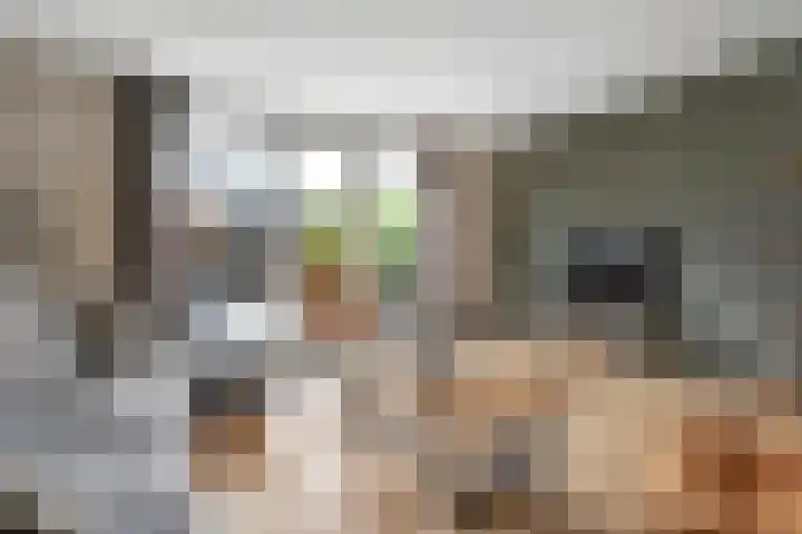 Dingshoflaan 52 Zwolle thumbnail 15