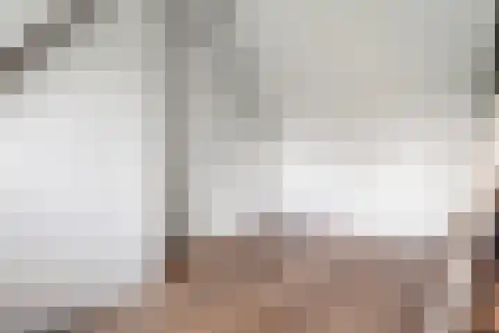 Dingshoflaan 52 Zwolle thumbnail 33