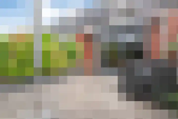 Dingshoflaan 52 Zwolle thumbnail 35