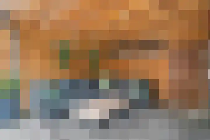 Dingshoflaan 52 Zwolle thumbnail 36