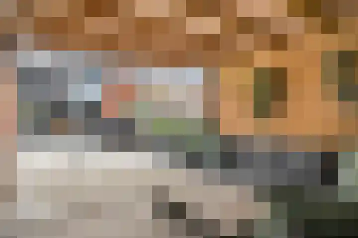 Dingshoflaan 52 Zwolle thumbnail 37