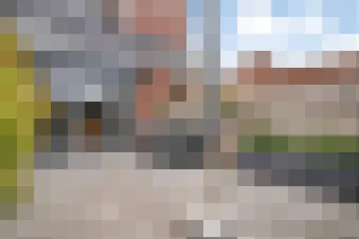 Dingshoflaan 52 Zwolle thumbnail 38