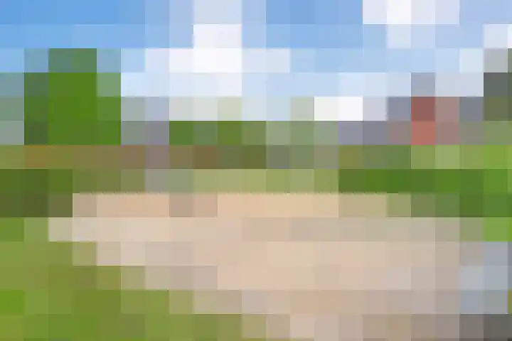 Dingshoflaan 52 Zwolle thumbnail 4