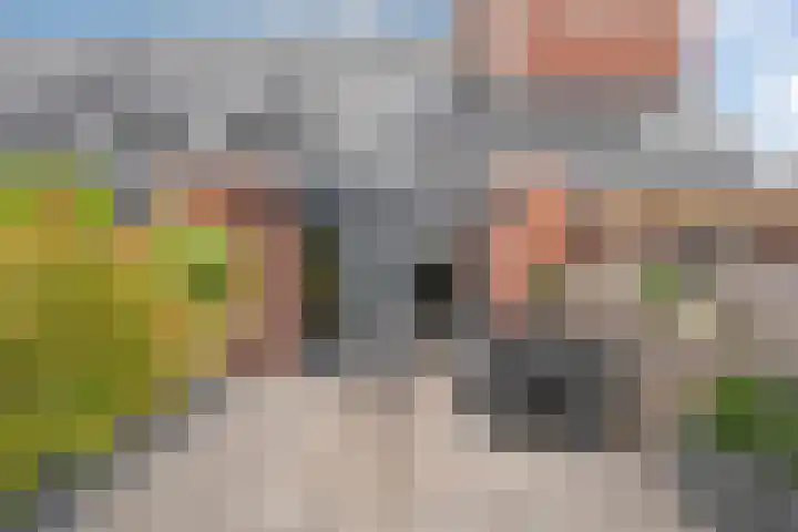 Dingshoflaan 52 Zwolle thumbnail 40