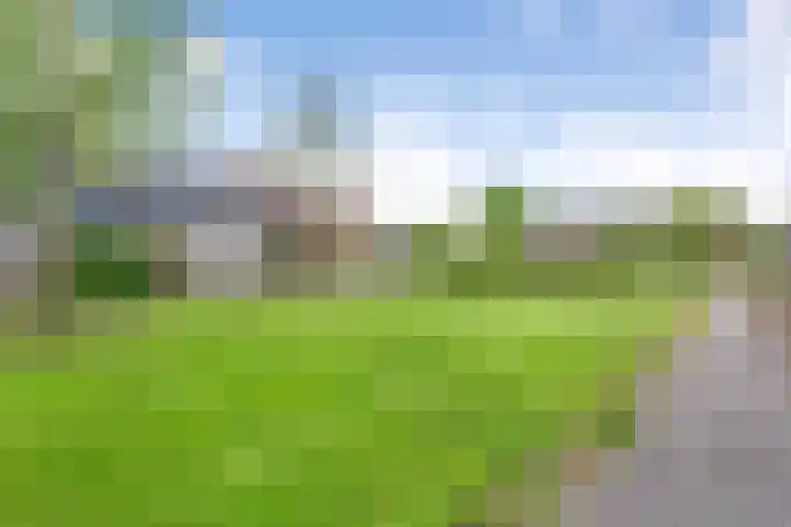 Dingshoflaan 52 Zwolle thumbnail 5