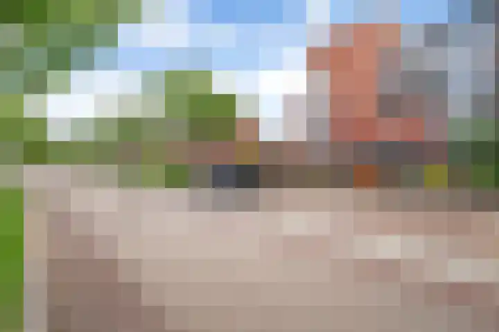 Dingshoflaan 52 Zwolle thumbnail 6