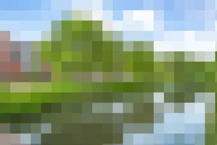 Dingshoflaan 52 Zwolle thumbnail 9