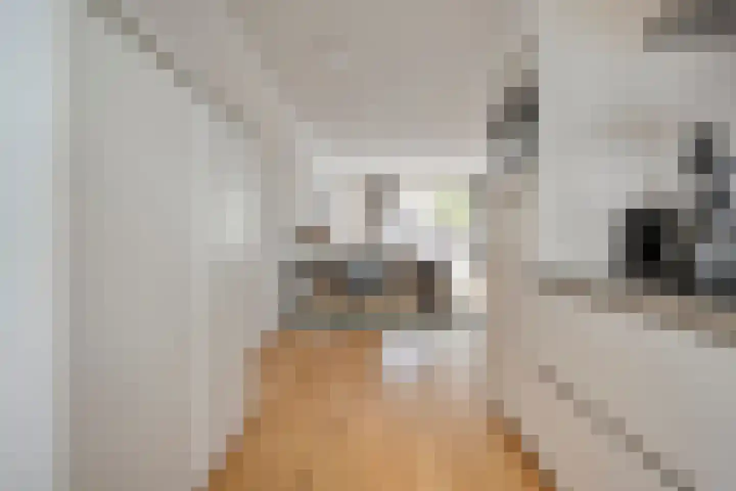Dingshoflaan 76 Zwolle thumbnail 13