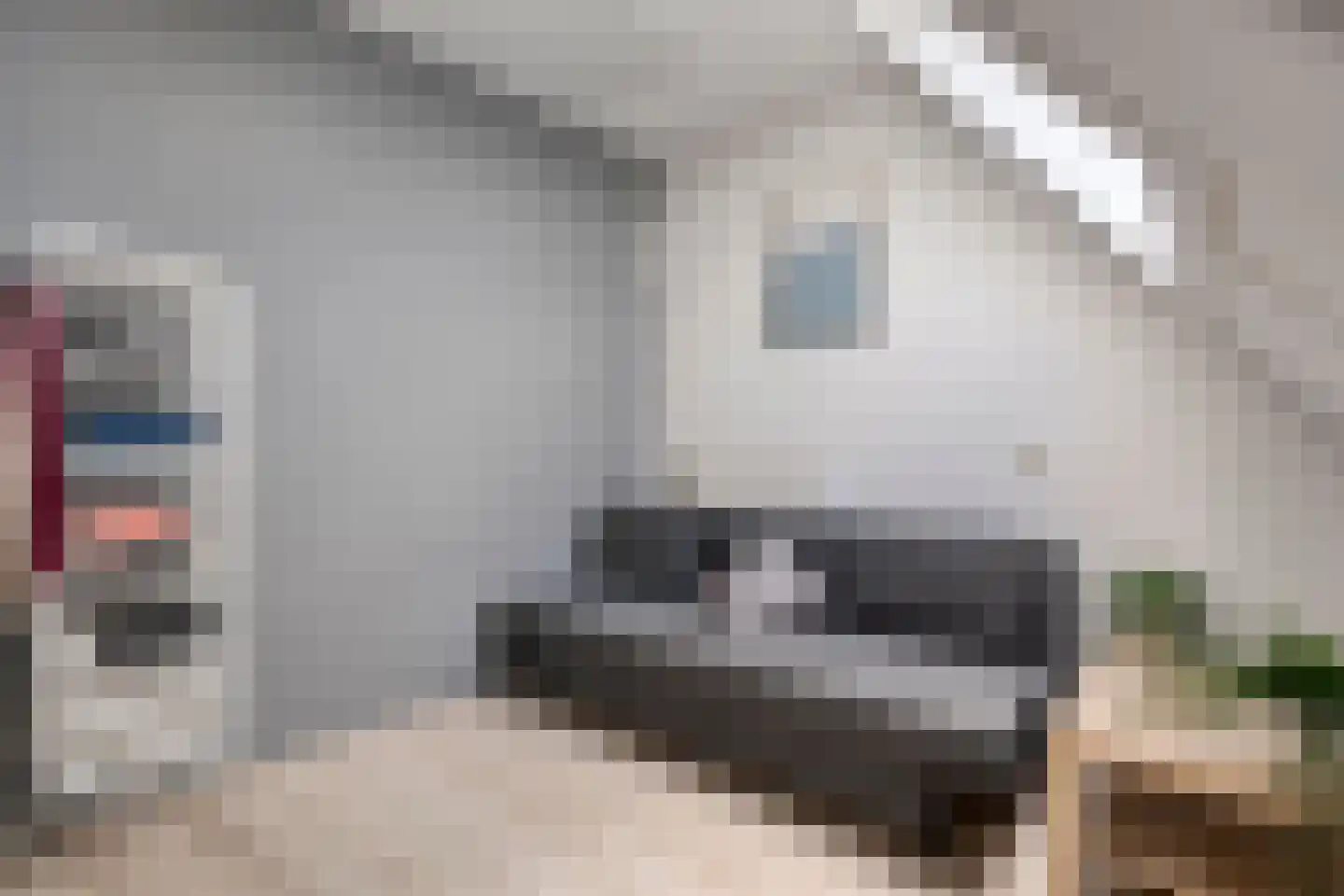 Dingshoflaan 76 Zwolle thumbnail 26