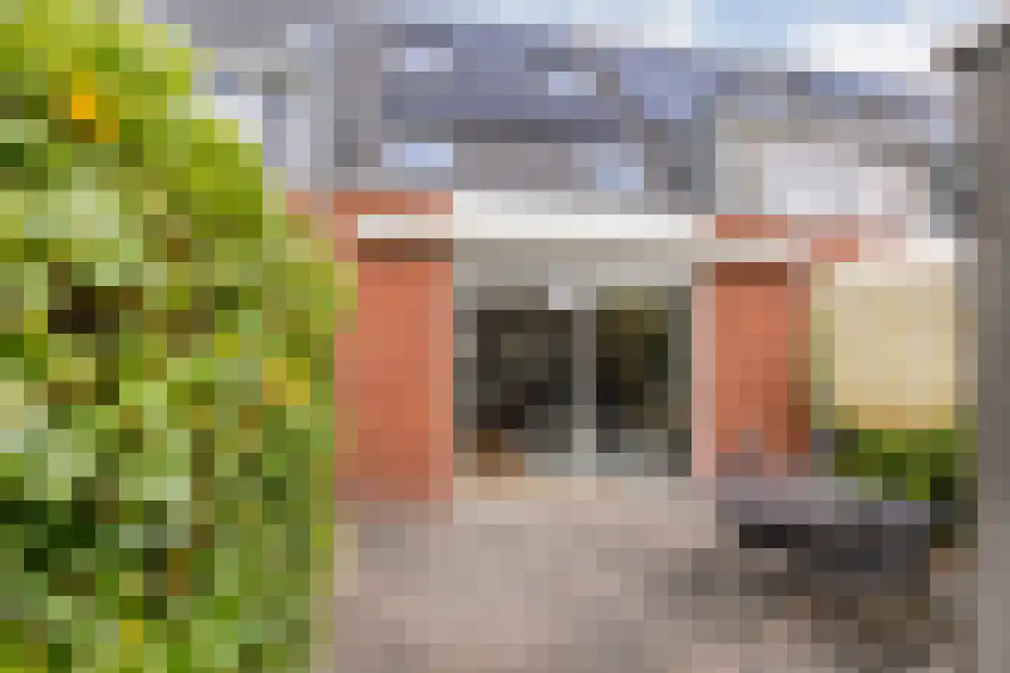 Dingshoflaan 76 Zwolle thumbnail 30