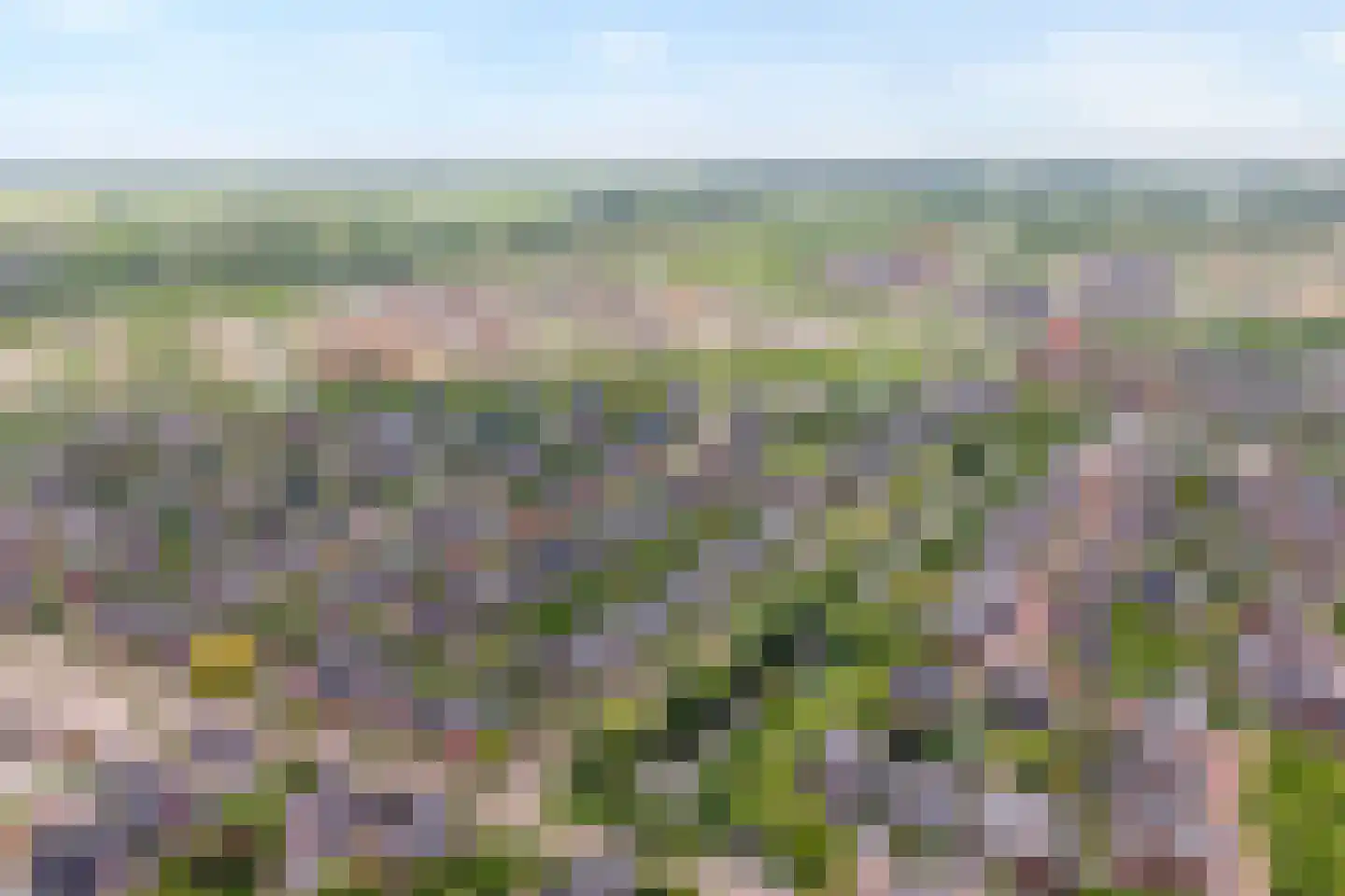 Dingshoflaan 76 Zwolle thumbnail 39