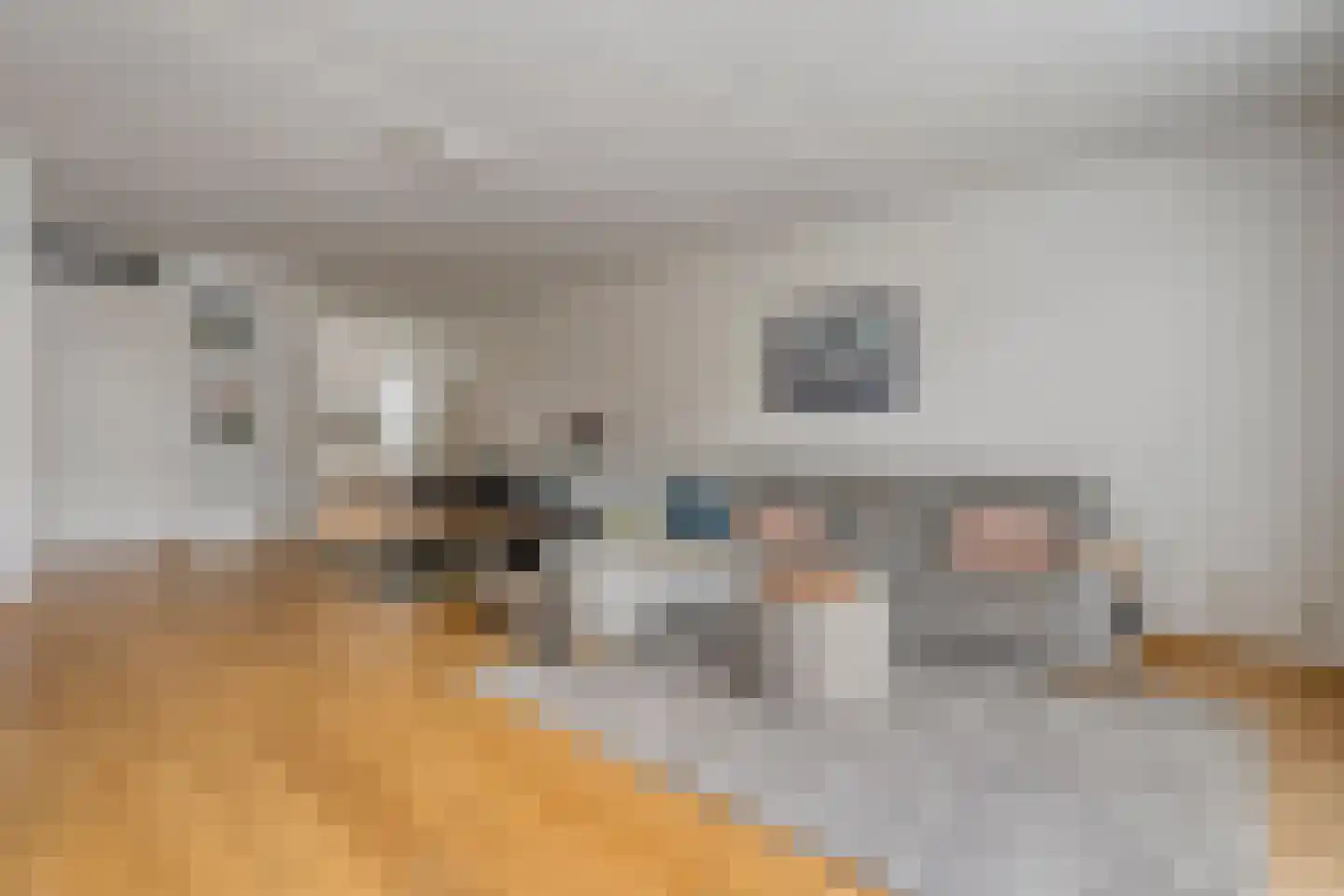 Dingshoflaan 76 Zwolle thumbnail 4