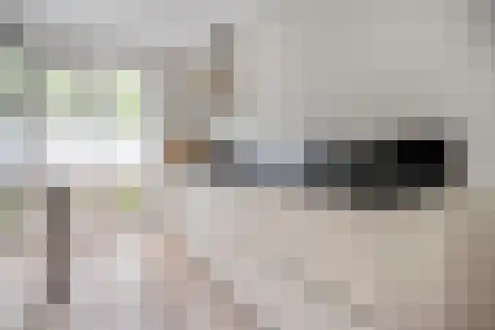 Dingshoflaan 84 Zwolle thumbnail 11