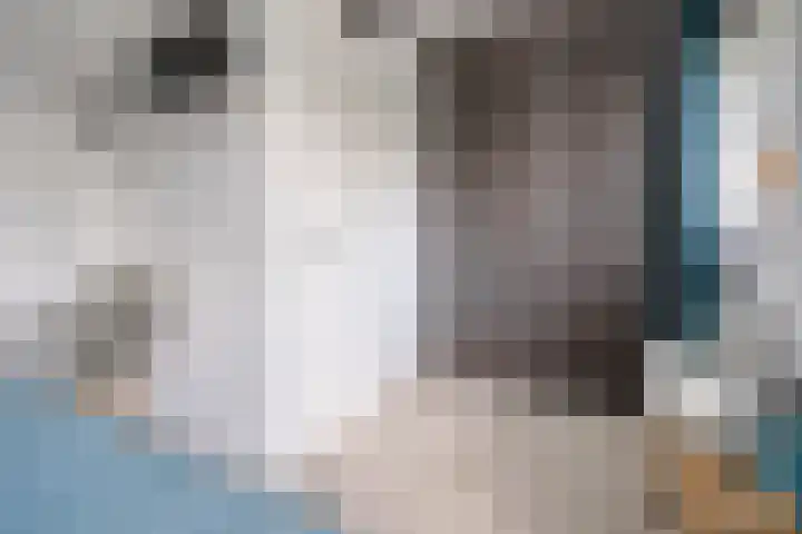 Dingshoflaan 84 Zwolle thumbnail 16