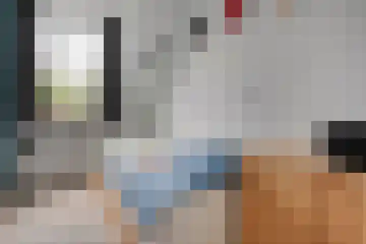 Dingshoflaan 84 Zwolle thumbnail 18