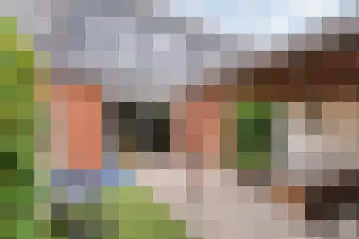 Dingshoflaan 84 Zwolle thumbnail 27