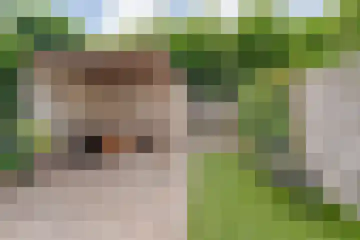 Dingshoflaan 84 Zwolle thumbnail 30