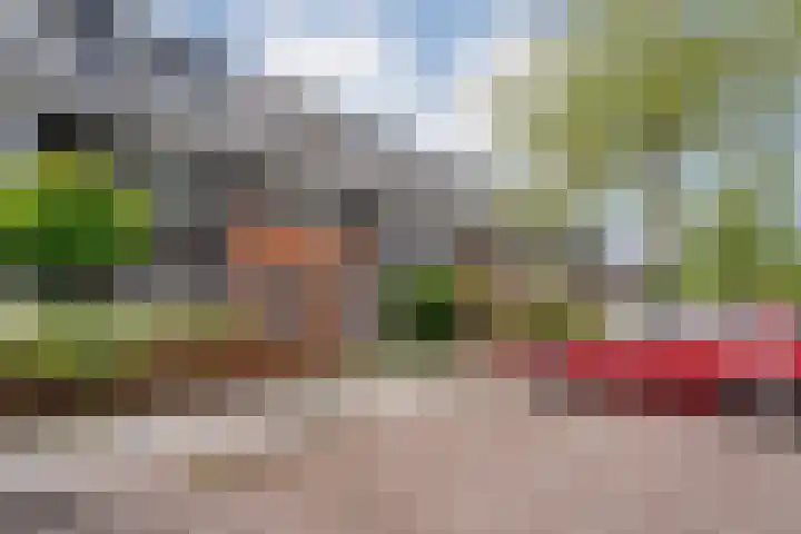 Dingshoflaan 84 Zwolle thumbnail 31
