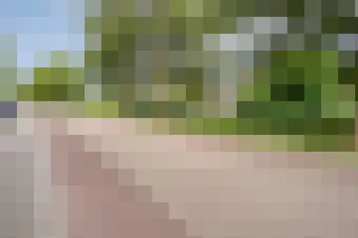 Dingshoflaan 84 Zwolle thumbnail 32