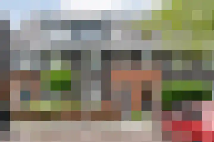 Dingshoflaan 84 Zwolle thumbnail 37